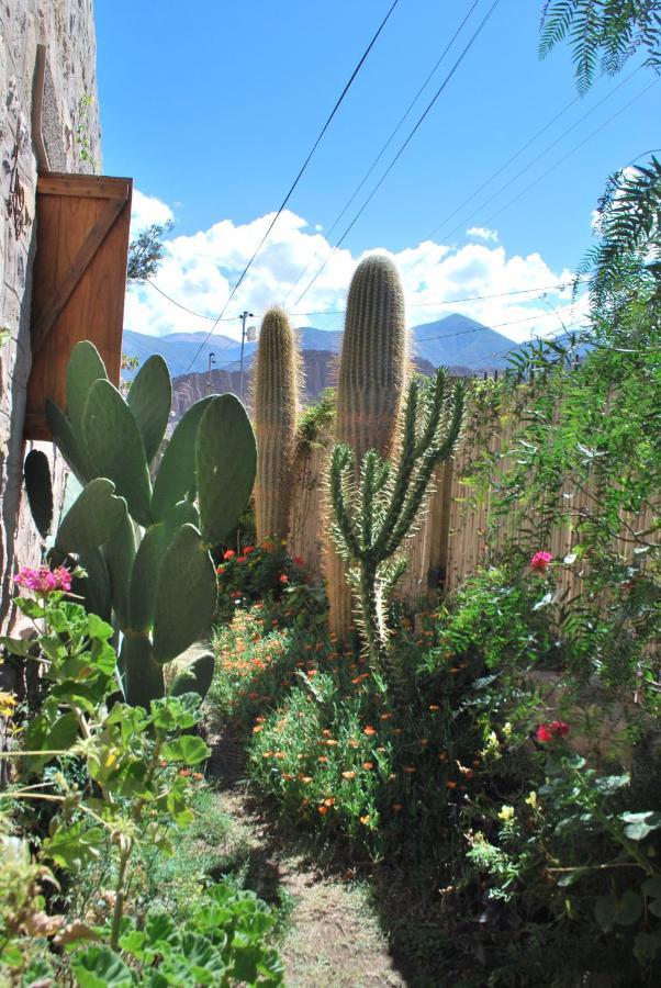 Apartamento En El Vivero Tilcara Exterior foto